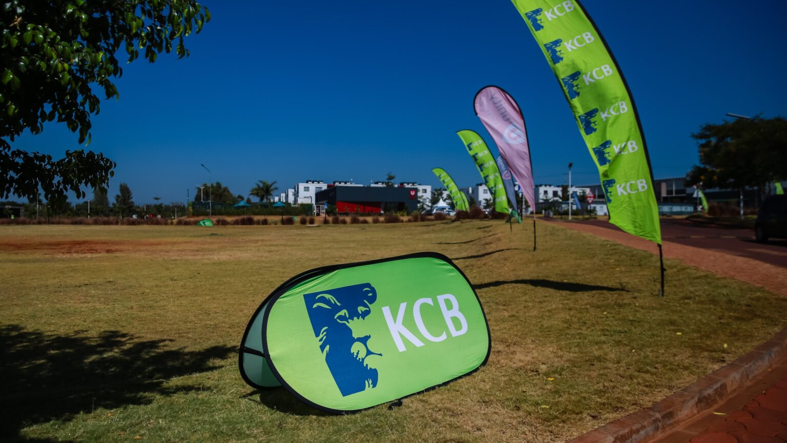 KCB Bank Branch Codes