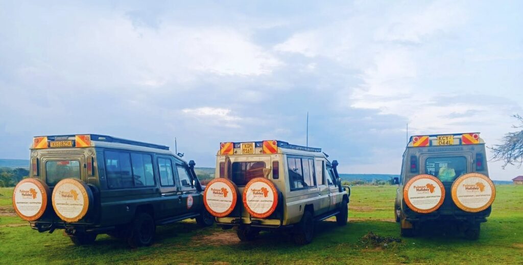 Pollman's Tours & Safaris Ltd