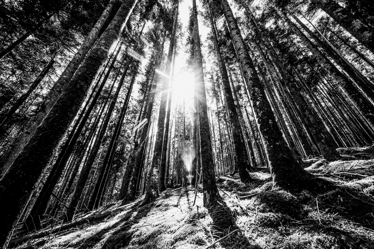 From Zero Experience to Earning Online: My Journey as a Content Writer in Kenya