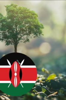 Natural Resources in Kenya