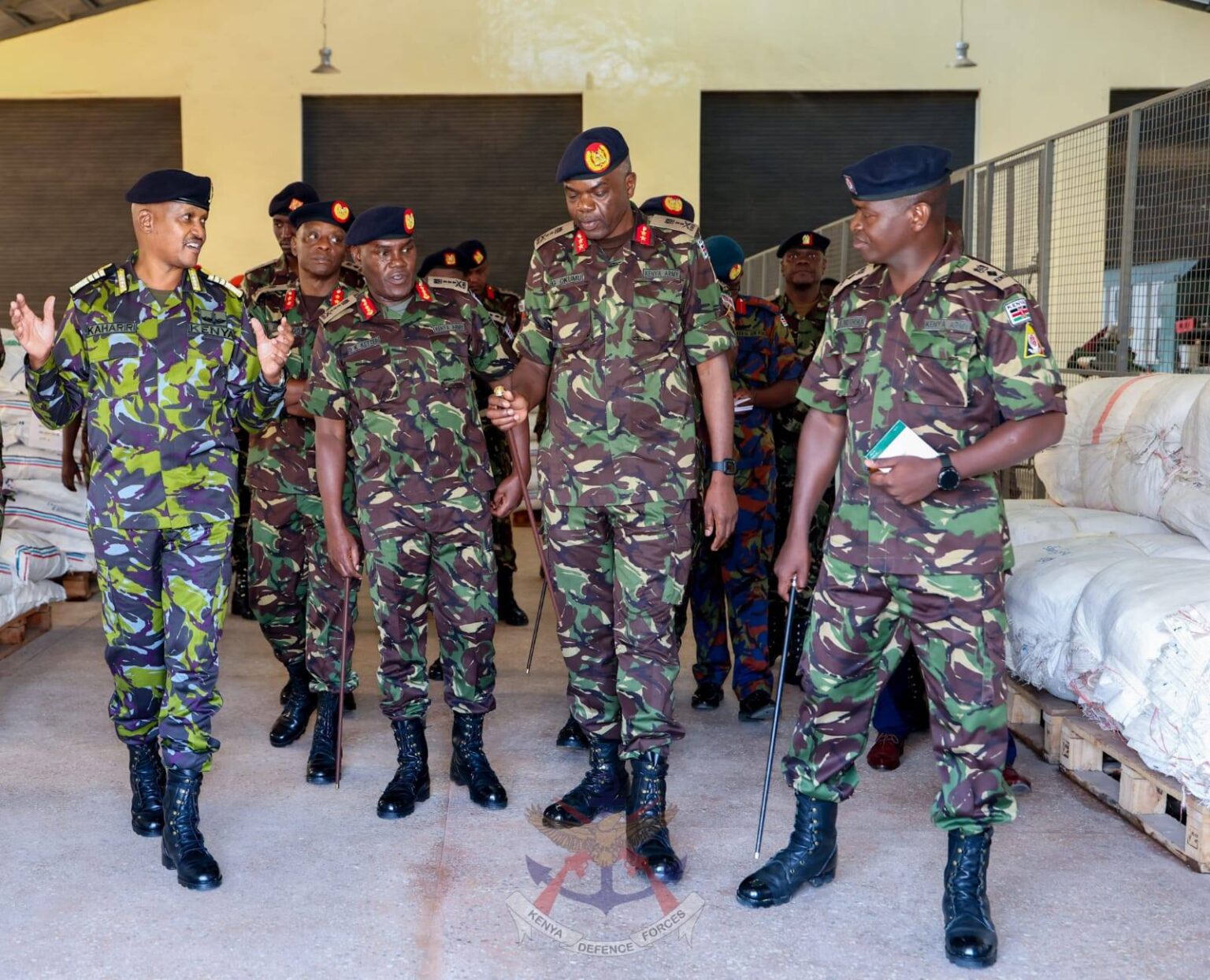 KDF Cadet Recruitment